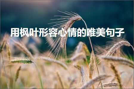 娴佹槦鐨勫敮缇庡彞瀛愶紙鏂囨839鏉★級