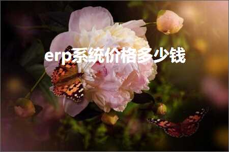 跨境电商知识:erp系统价格多少钱