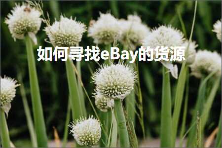 璺ㄥ鐢靛晢鐭ヨ瘑:濡備綍瀵绘壘eBay鐨勮揣婧? width=