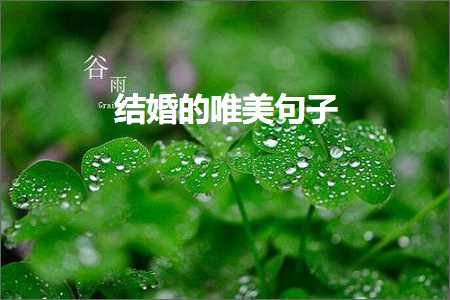 缁撳鐨勫敮缇庡彞瀛愶紙鏂囨806鏉★級